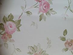 暢銷歐式印花墻紙生產廠家推薦_美蘭壁紙圖片|暢銷歐式印花墻紙生產廠家推薦_美蘭壁紙產品圖片由海口 裝飾工程公司生產提供-